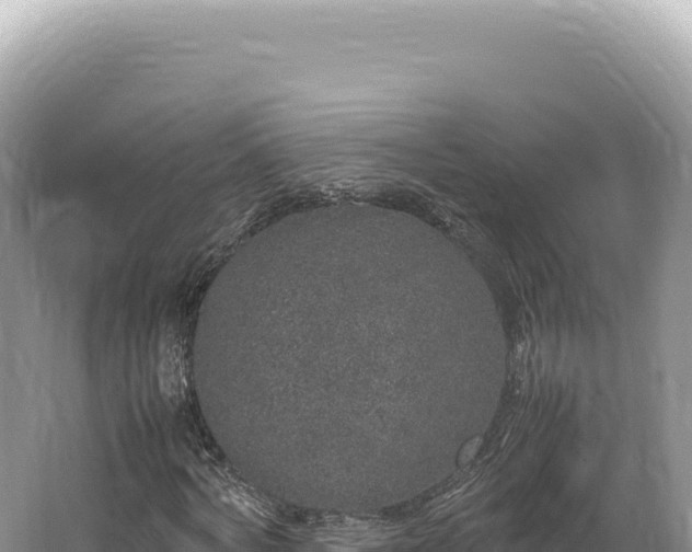 X0000062150772200512121306