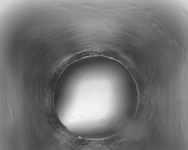 X0000062150773200512121306