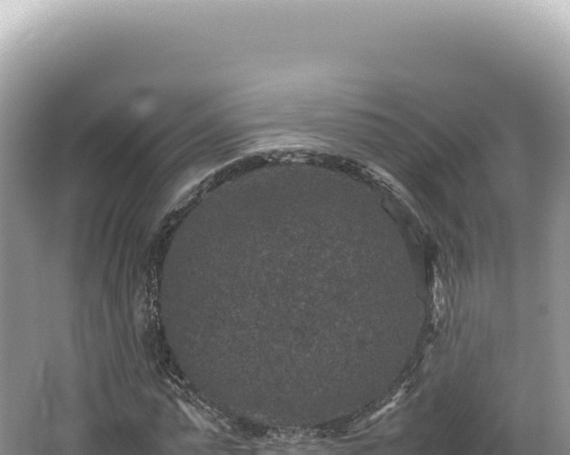 X0000062150775200512121306