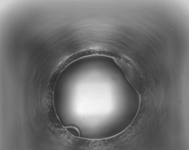 X0000062150776200512121306