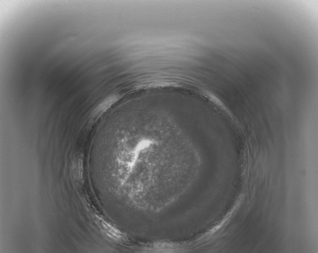 X0000062150777200512121306