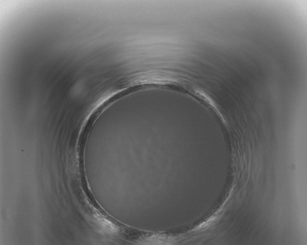 X0000062150779200512121306