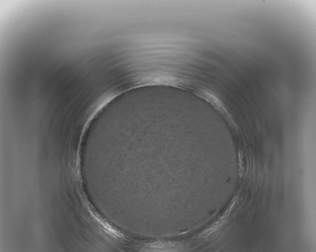 X0000062150780200512121306