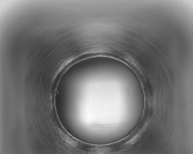 X0000062150781200512121306