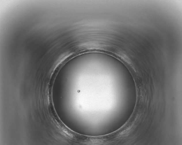 X0000062150782200512121306