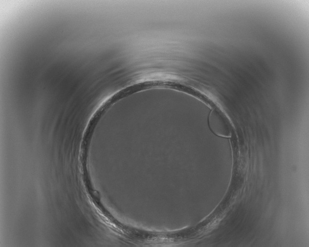 X0000062150783200512121306