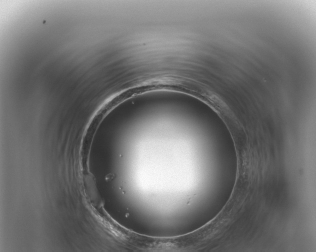 X0000062150784200512121306