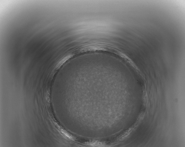 X0000062150785200512121306