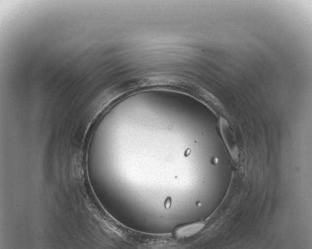 X0000062150786200512121306