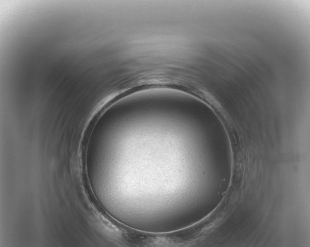 X0000062150787200512121306