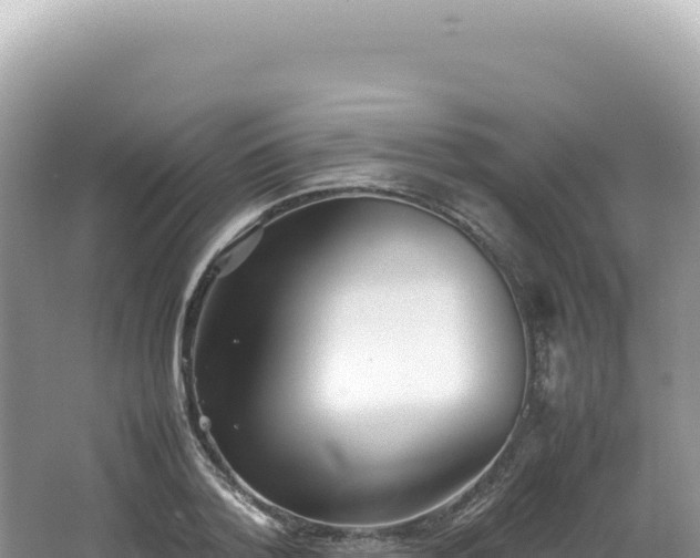 X0000062150788200512121306