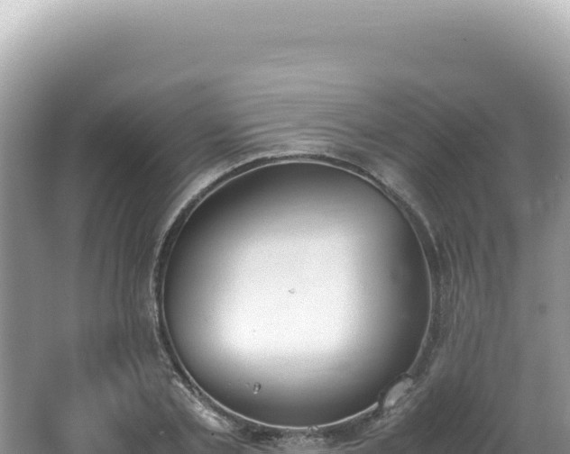 X0000062150789200512121306