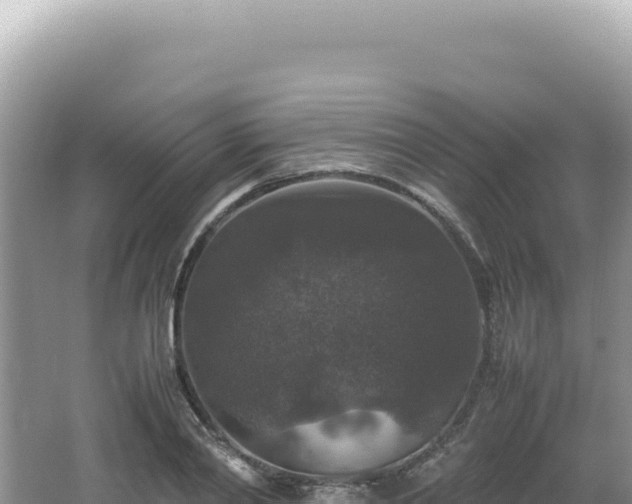 X0000062150790200512121306