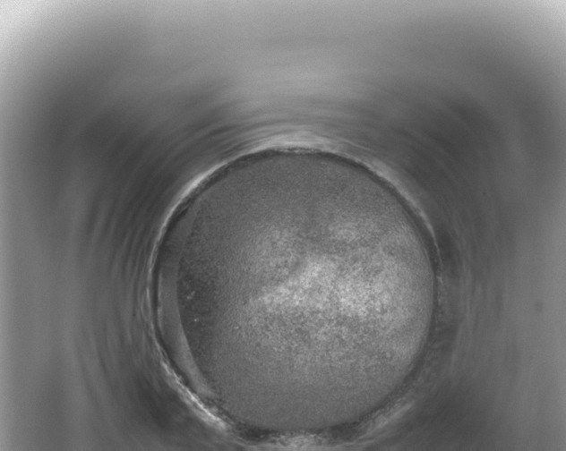 X0000062150791200512121306