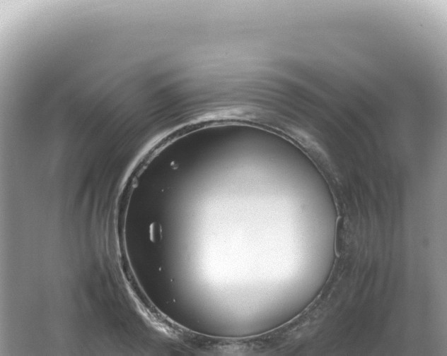 X0000062150792200512121306