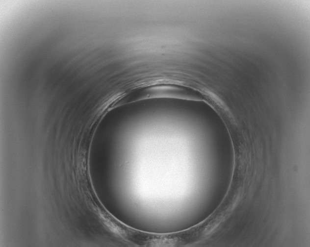 X0000062150793200512121306