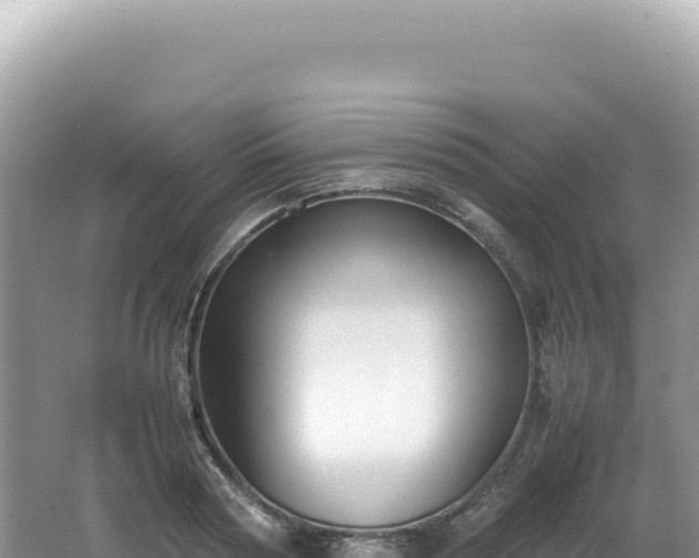 X0000062150794200512121306