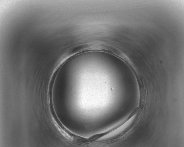 X0000062150795200512121306