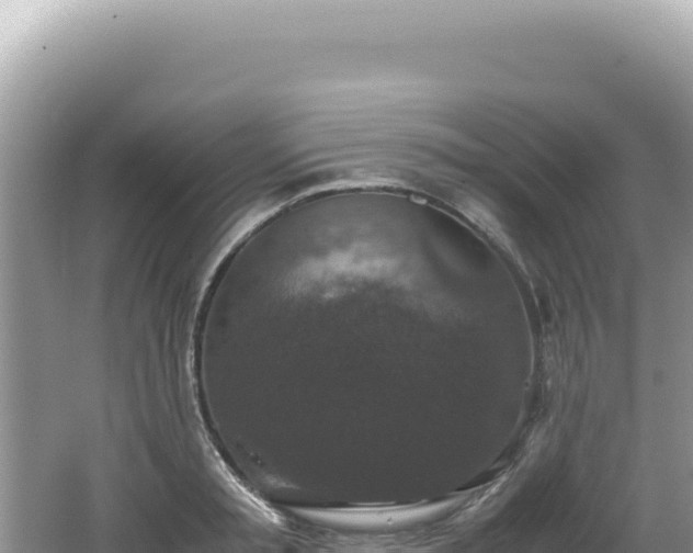 X0000062150797200512121306