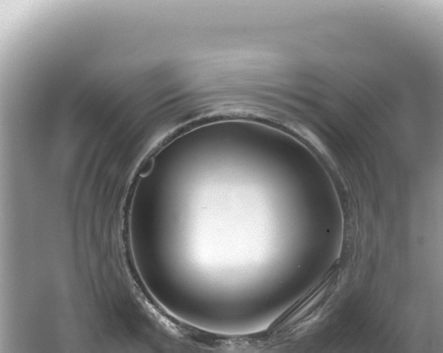 X0000062150799200512121306