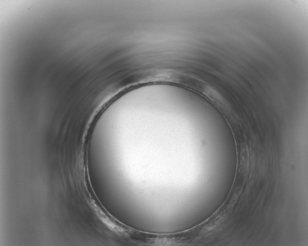 X0000062150800200512121306