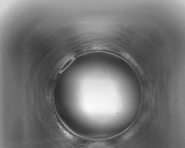 X0000062150801200512121306