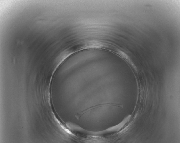 X0000062150802200512121306