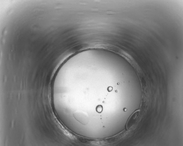 X0000062150804200512121306