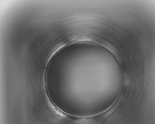 X0000062150806200512121306