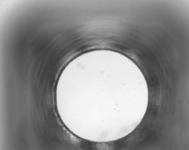 X0000062150807200512121306