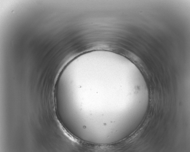 X0000062150808200512121306