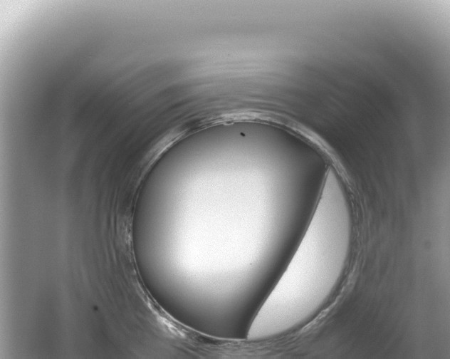 X0000062150809200512121306