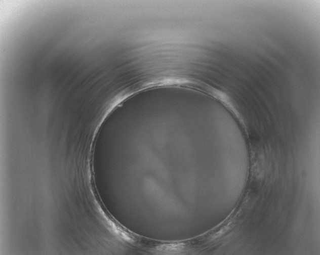 X0000062150810200512121306