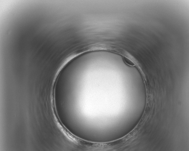 X0000062150811200512121306