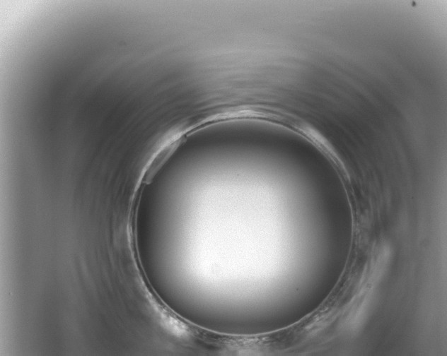 X0000062150813200512121306