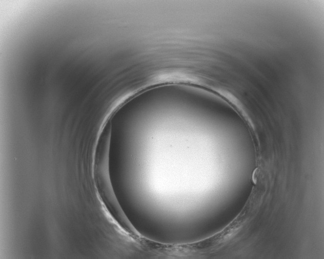 X0000062150815200512121306