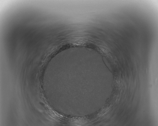 X0000062150817200512121305