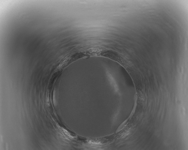 X0000062150818200512121305