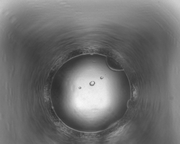 X0000062150819200512121305