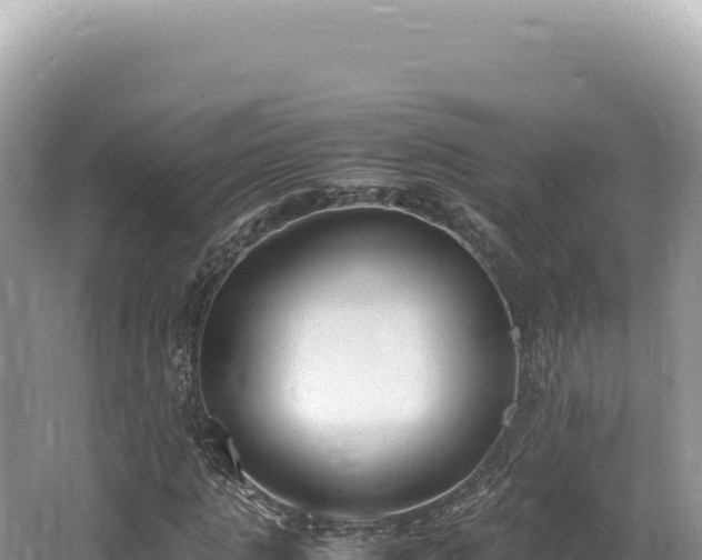 X0000062150821200512121305