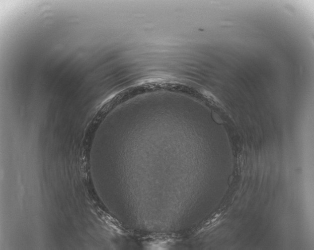 X0000062150822200512121305