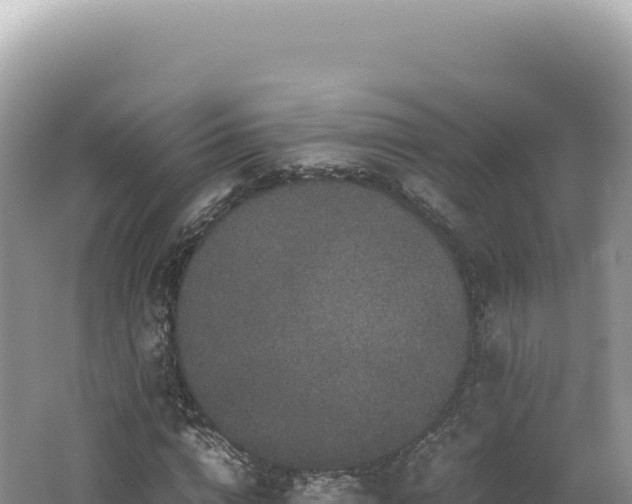 X0000062150824200512121305