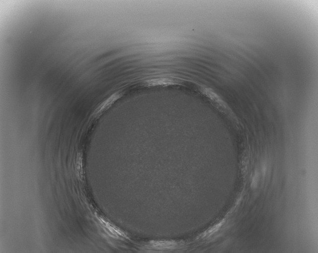 X0000062150825200512121305