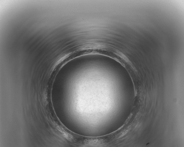 X0000062150826200512121305