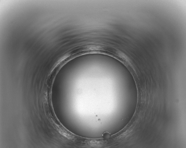 X0000062150827200512121305