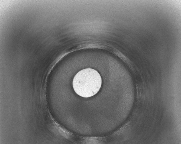 X0000062150828200512121305