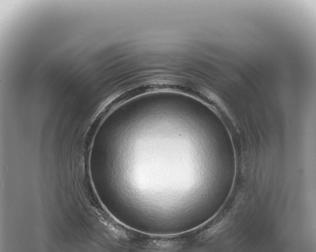 X0000062150829200512121305