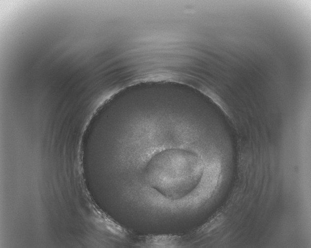 X0000062150832200512121305