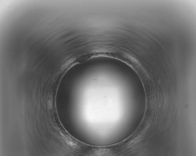 X0000062150833200512121305