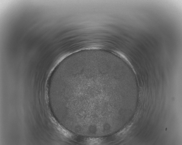 X0000062150835200512121305